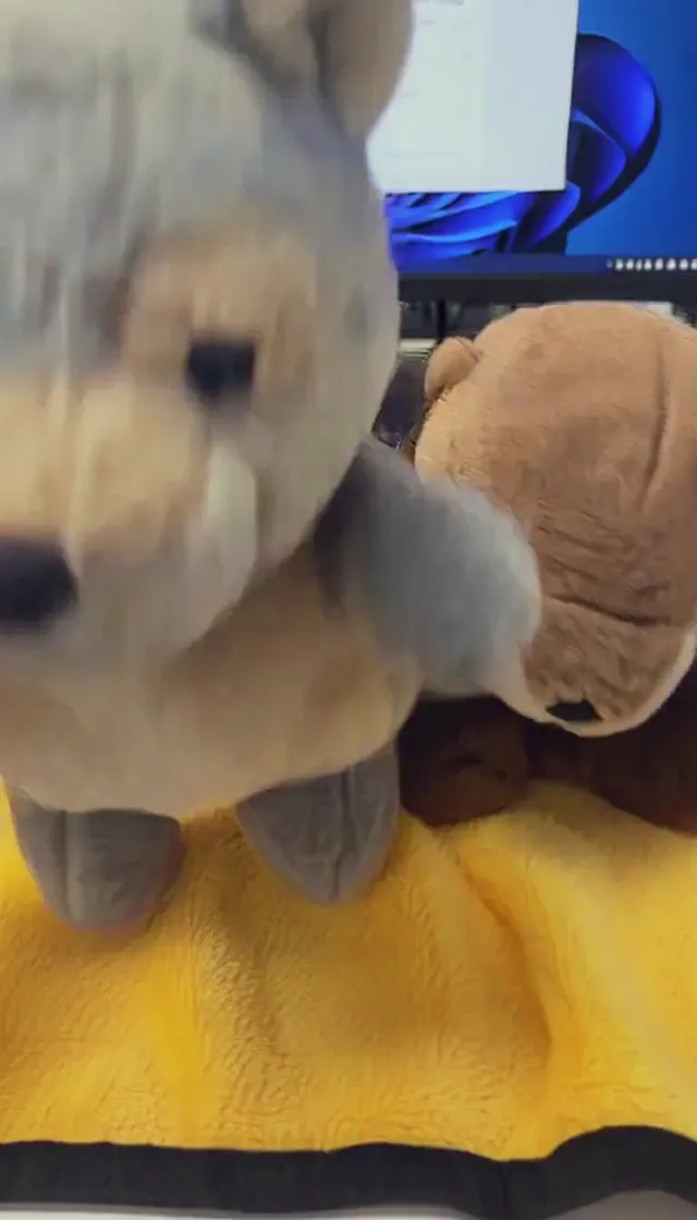 Smalltown Boy characters — a wolf plushie and an otter plushie
