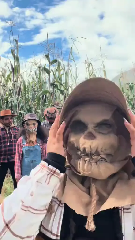 Smalltown Boy Halloween — scarecrows in a cornfield